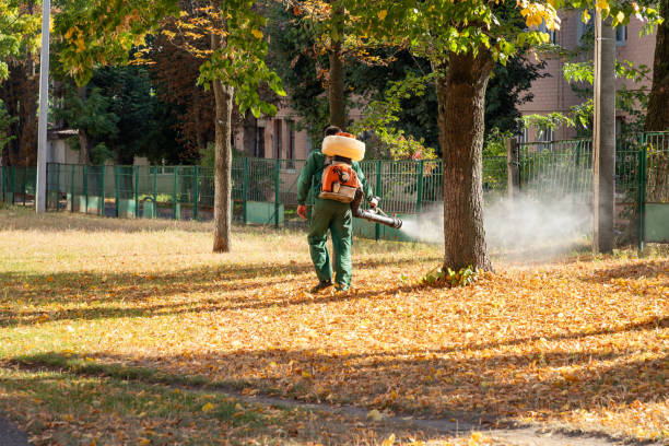 Best Pest Control Near Me  in Palm Springs North, FL