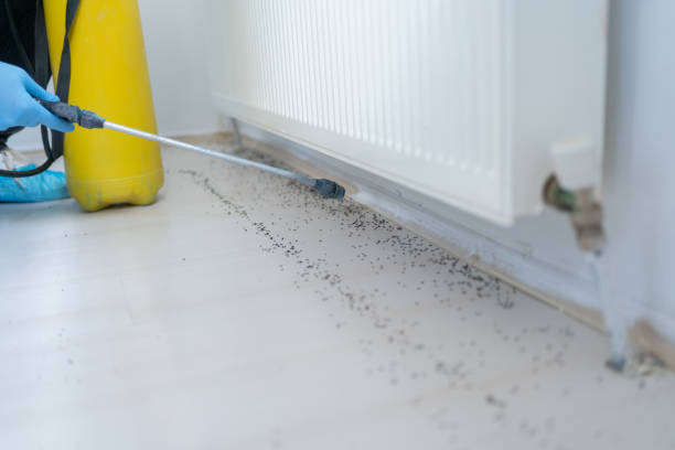 Best Commercial Pest Control Services  in Palm Springs North, FL