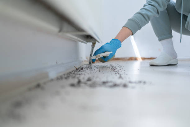 Best Best Pest Control Companies  in Palm Springs North, FL